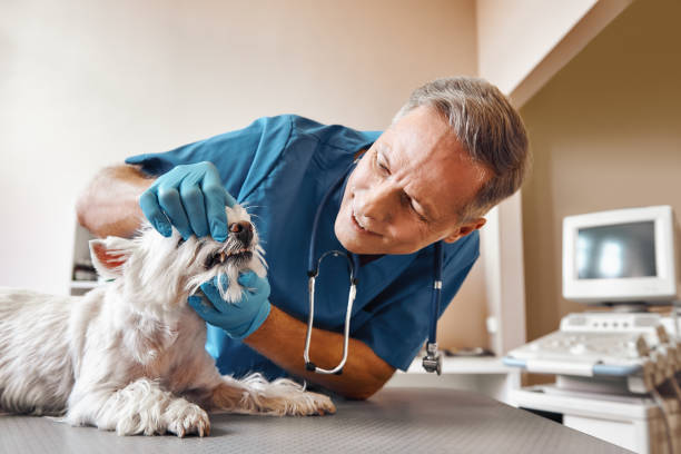 Best Emergency TMJ Treatment in Rancho Alegre, TX