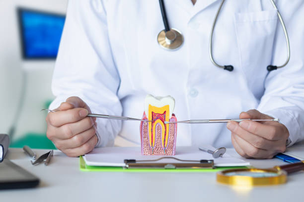 Best Urgent Care for Lost Fillings or Crowns in Rancho Alegre, TX